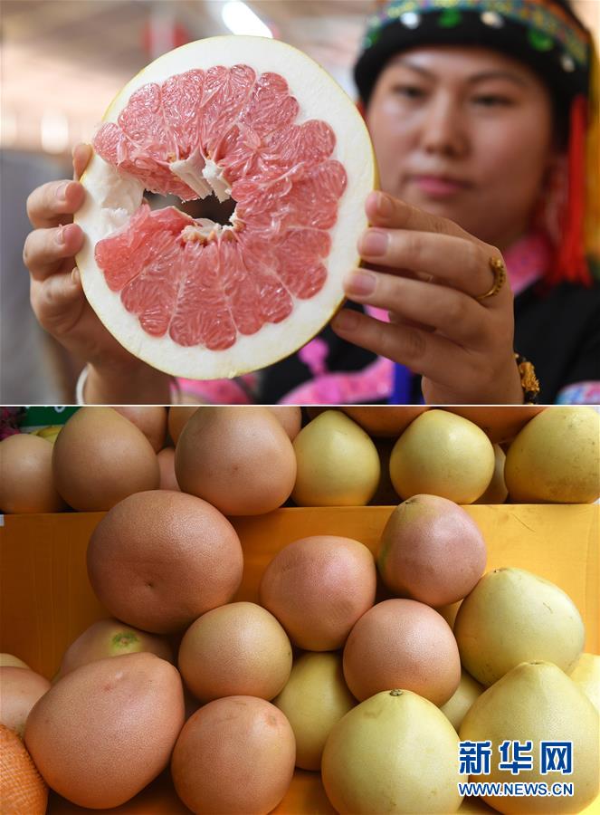 上圖：一名參展商在展示一片柚子；下圖：展銷現場陳列的柚子