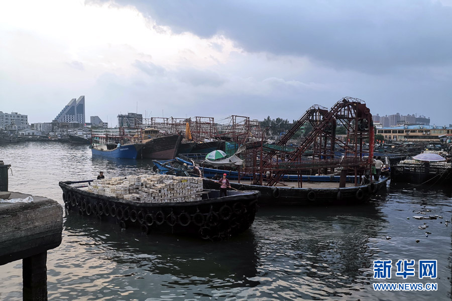 一艘滿載而歸的漁船緩緩駛入廣西北海市僑港鎮電建漁港