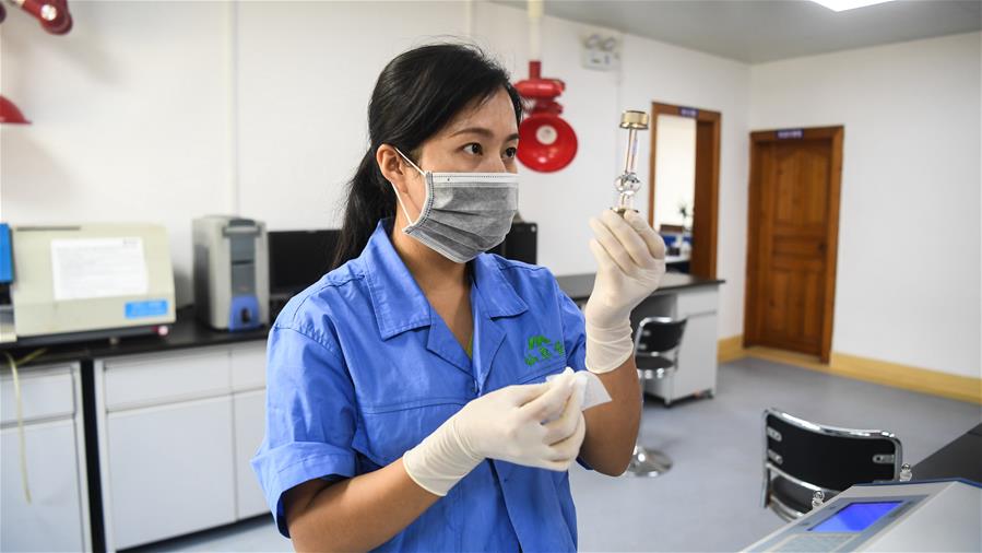 廣西融安一家青蒿素提煉加工企業的工作人員在實驗室進行檢測