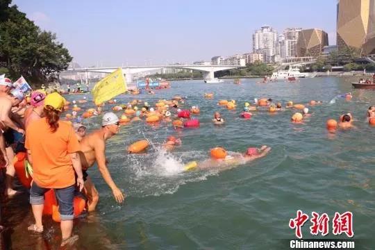 2000餘名游泳愛好者暢遊百里柳江。