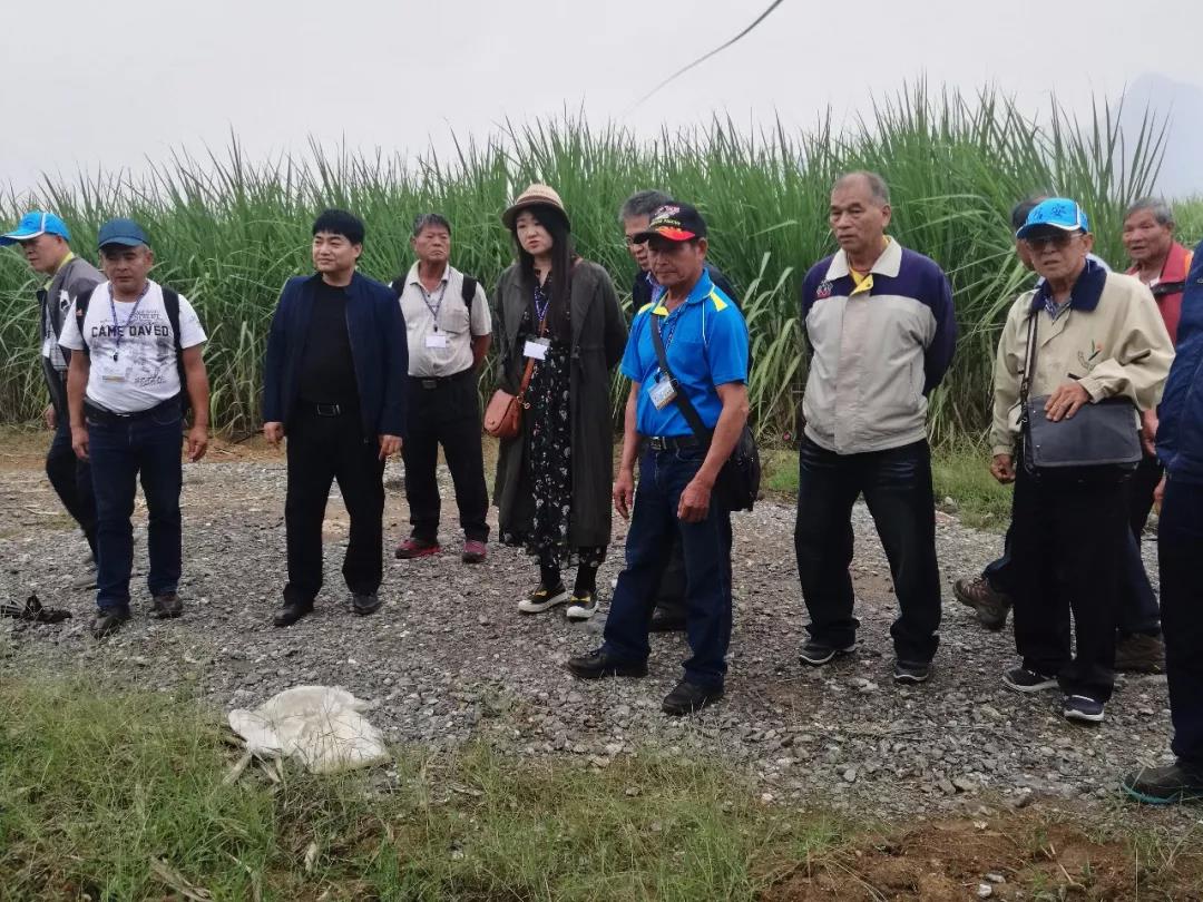 富里鄉農會參訪團考察興賓區甘蔗良種繁育推廣基地。