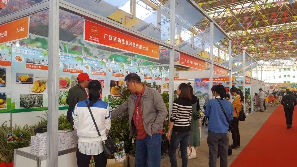 第十二屆中國－東盟（百色）現代農業展示交易會在廣西百色市田陽縣舉辦。