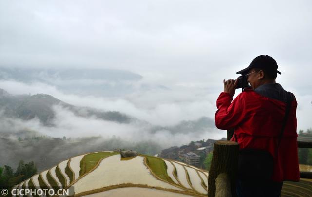 遊客在廣西龍勝各族自治縣龍脊梯田景區觀光拍照。