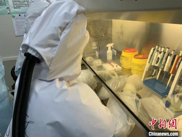 圖為憑祥海關檢驗人員正在對樣本進行新冠病毒核酸檢測。
