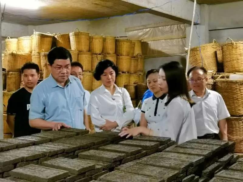 考察周睦村廣西芙葉茶業有限公司。