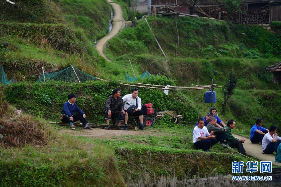 駐村工作隊隊員覃天陽（左三）在田間和群眾交流。（3月27日攝）
