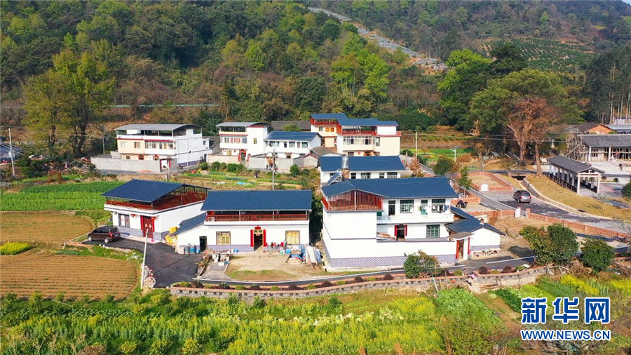 龍溪村藍白色調為主的民房錯落有致。