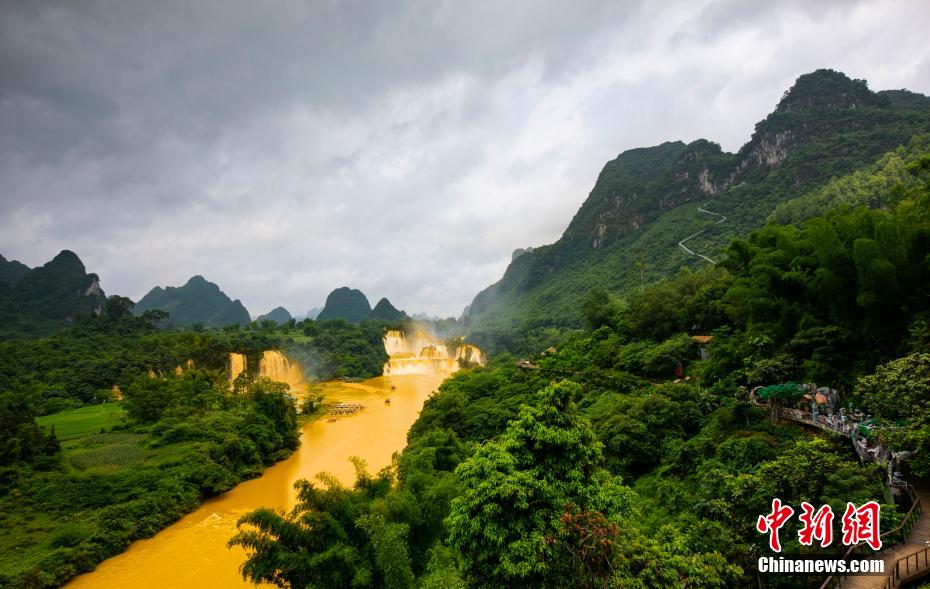 廣西德天瀑布呈現「黃金瀑布」景觀。