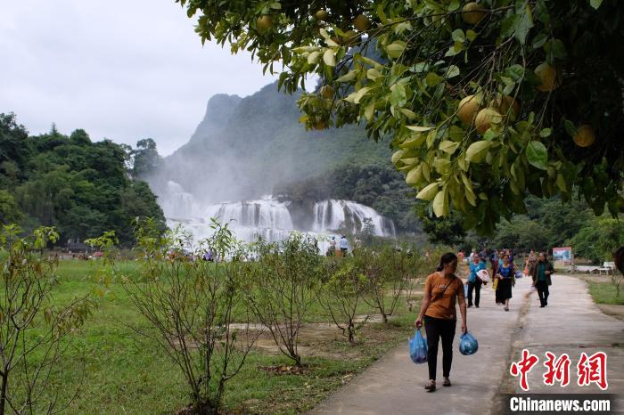越南民眾正在遊覽中越德天（板約）瀑布。