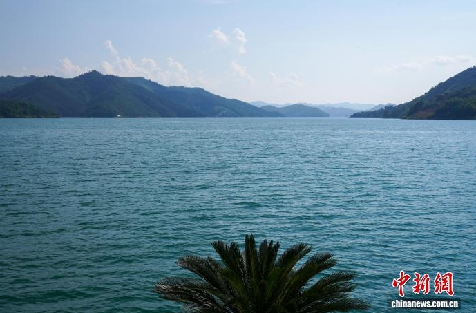萬峰湖碼頭景觀。 萬峰湖碼頭景觀。