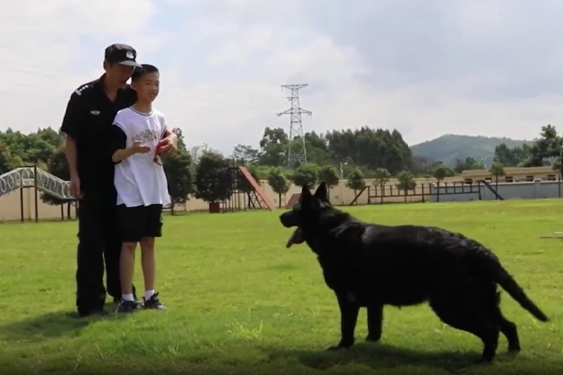 影片｜廣西百名學生參觀警犬訓練營與可愛「警察」親密互動