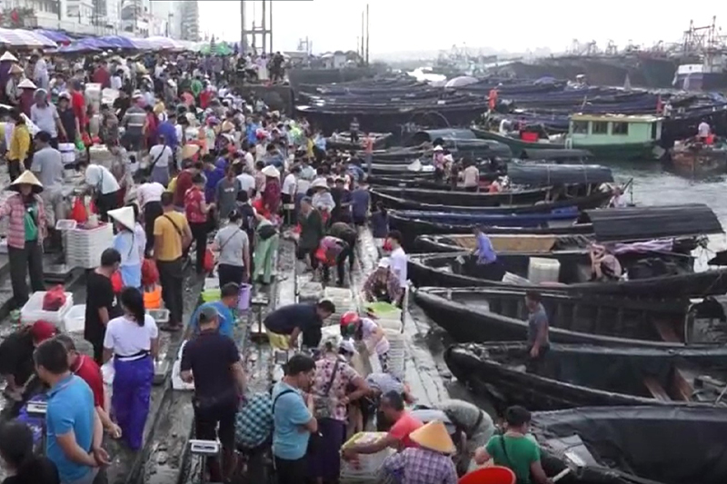 影片｜南海「開海」帶熱廣西沿海旅遊漁碼頭如集市