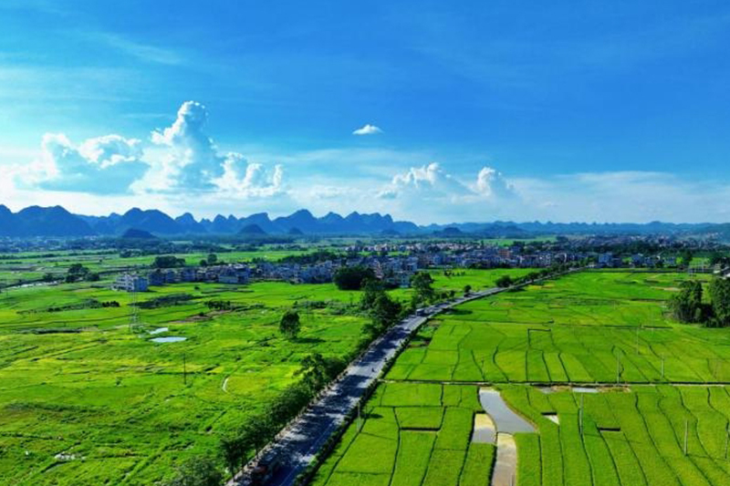 「壯美公路」繪就鄉村振興新圖景
