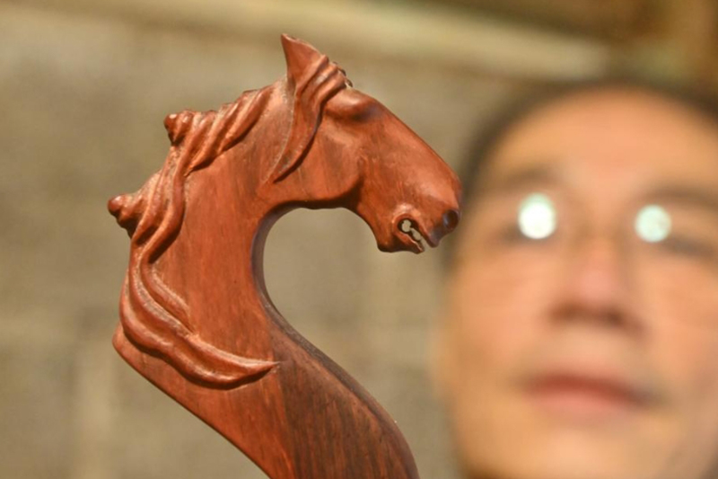 壯族馬骨胡藝術：傳承在悠揚樂聲中的民族文化瑰寶