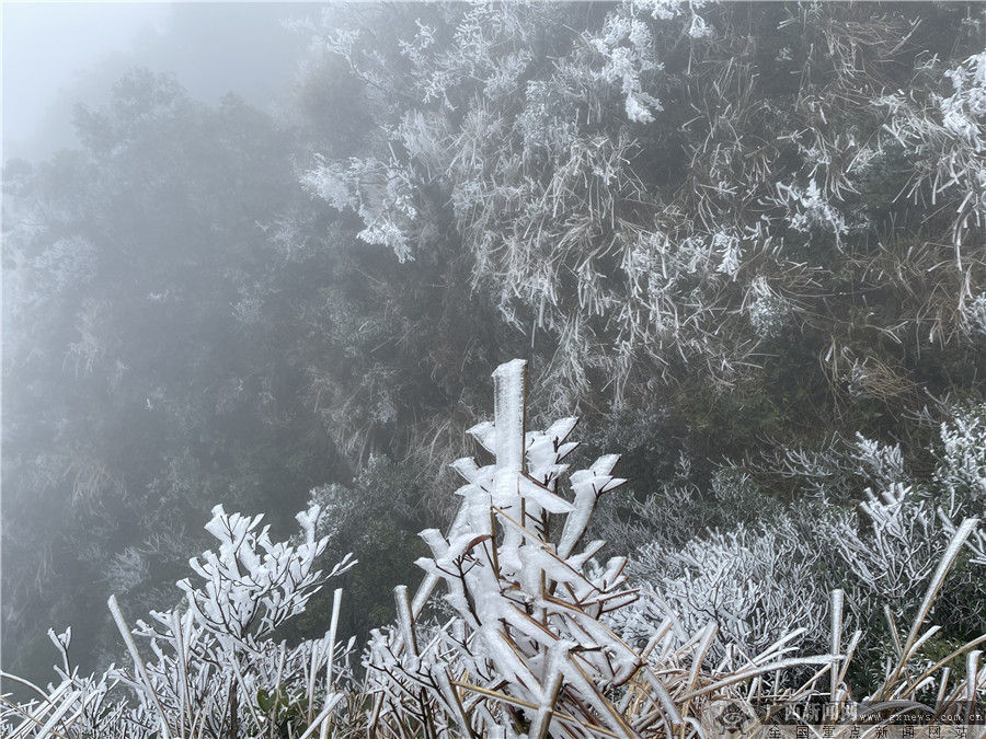 大明山一片銀裝素裹。