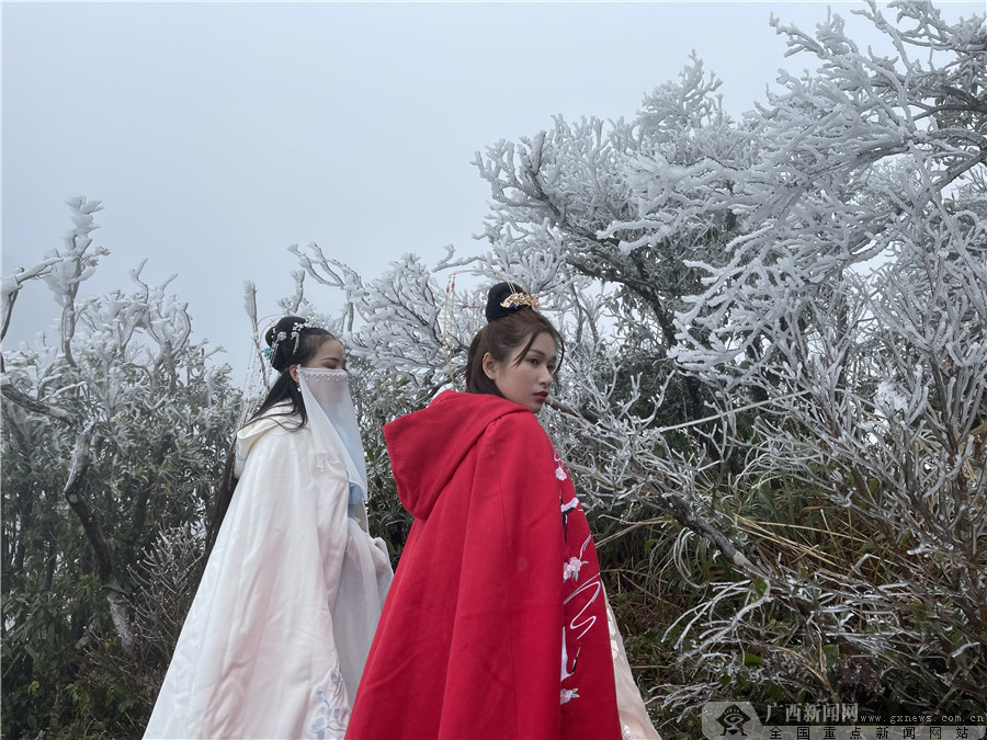 大明山如仙境的風景吸引眾多遊客。