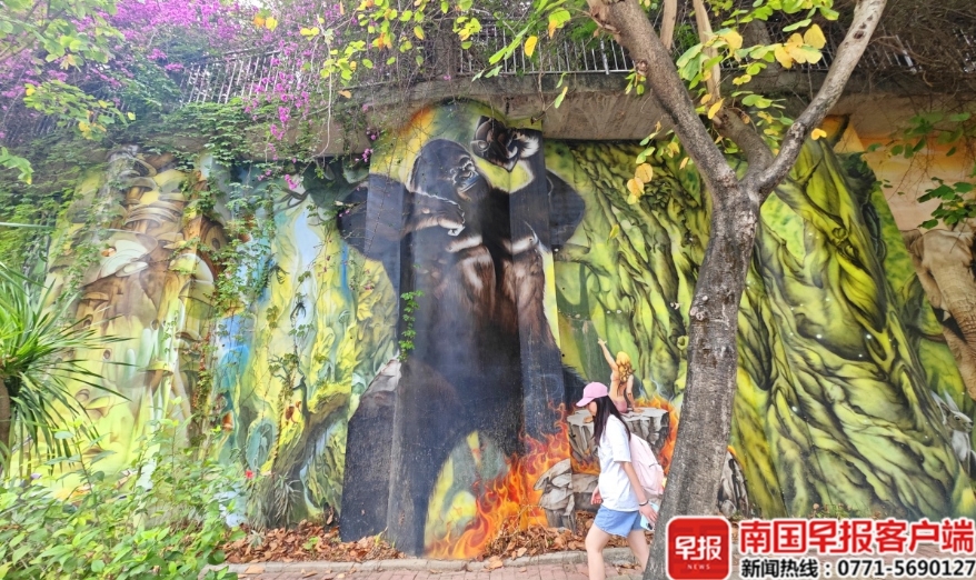 彷彿走進了夢幻森林場景。