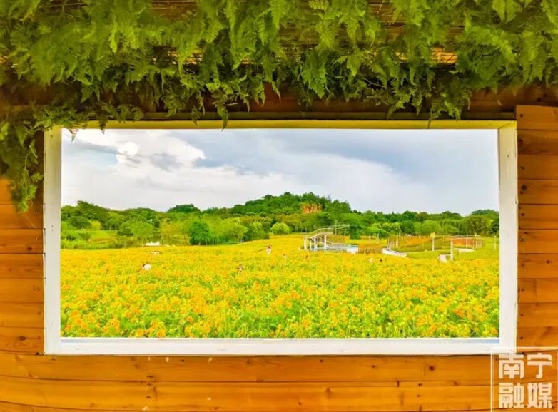 繁花似錦。 繁花似錦。