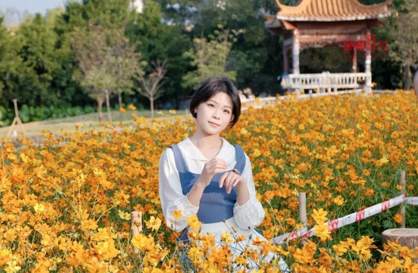 市民在花海中遊玩。