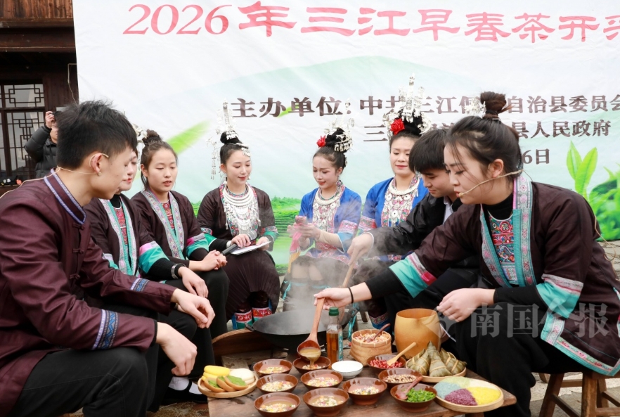 早春茶迎春開採。