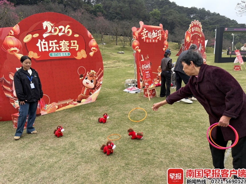 南寧石門公園裡的櫻花正陸續開放。