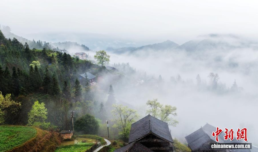 雲霧繚繞下的侗寨美如畫。