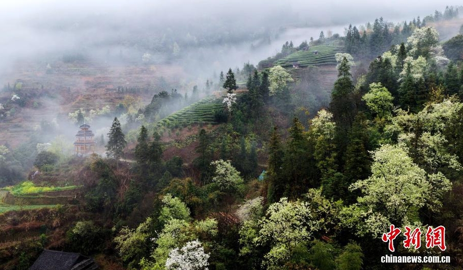 雲霧繚繞下的侗寨美如畫。