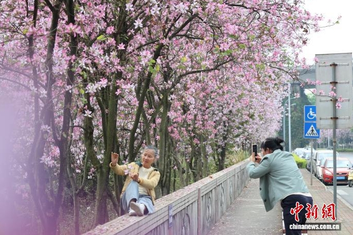 穿梭在花海裡。