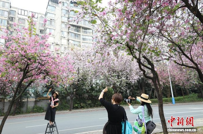 穿梭在花海裡。