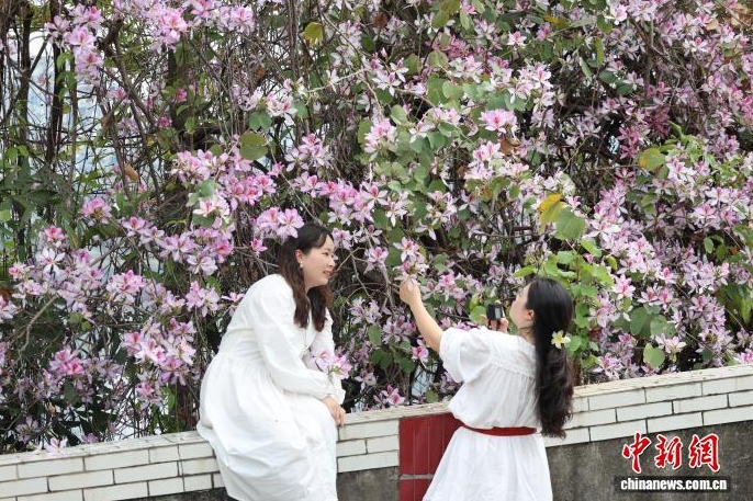 穿梭在花海裡。