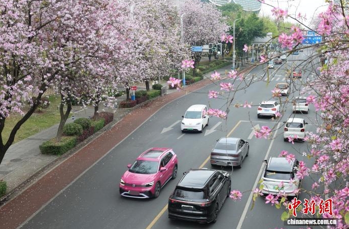 穿梭在花海裡。