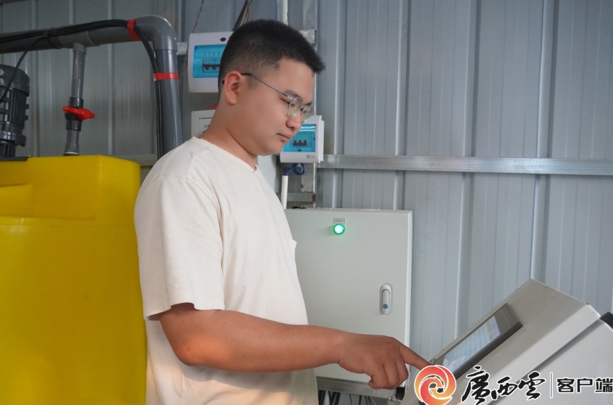 自動化設備給藍莓灌溉。