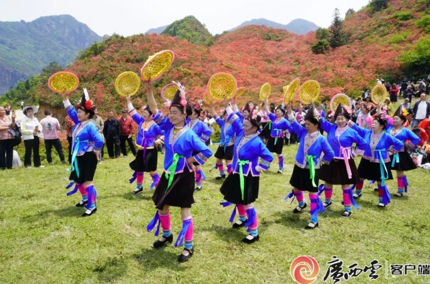 千畝杜鵑花賞花活動。