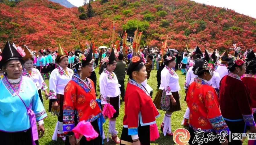 千畝杜鵑花賞花活動。