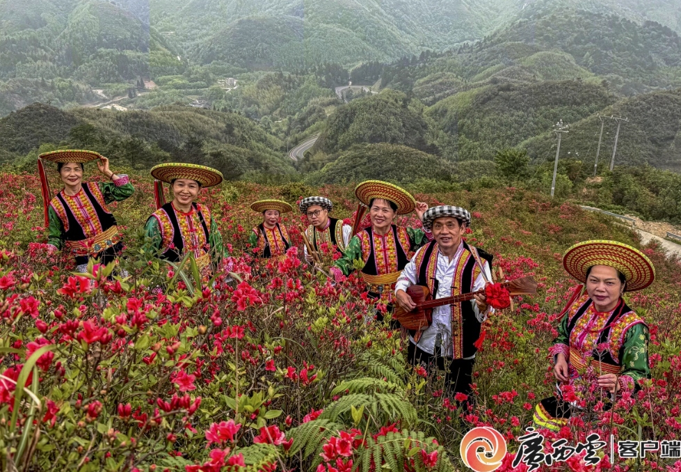 野生杜鵑花熱烈綻放。