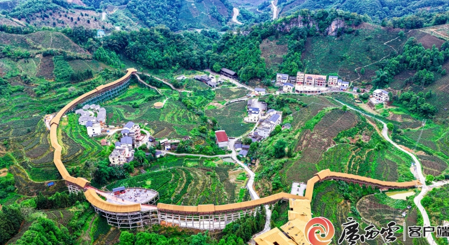 茶園生態美景宛如畫卷。