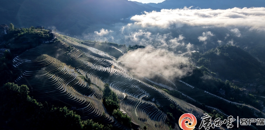 龍脊梯田景區。
