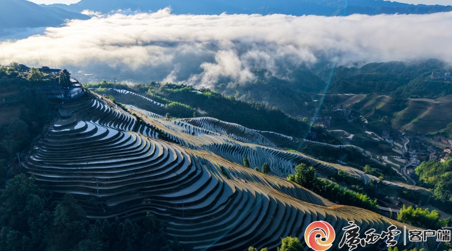 龍脊梯田景區。