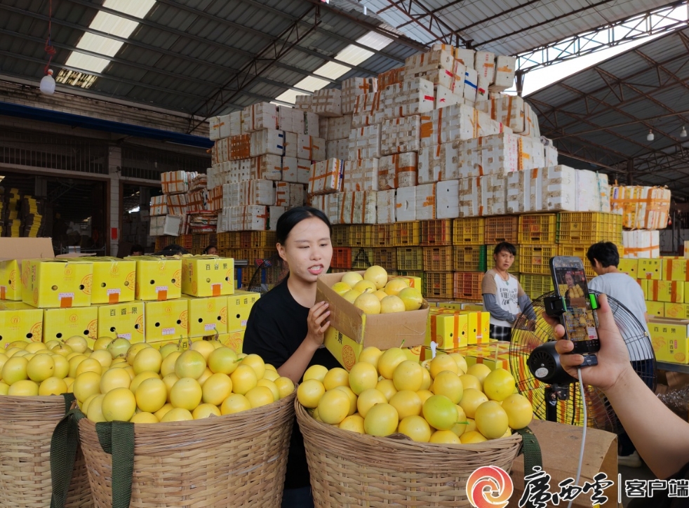 百香果打包裝箱。 百香果打包裝箱。