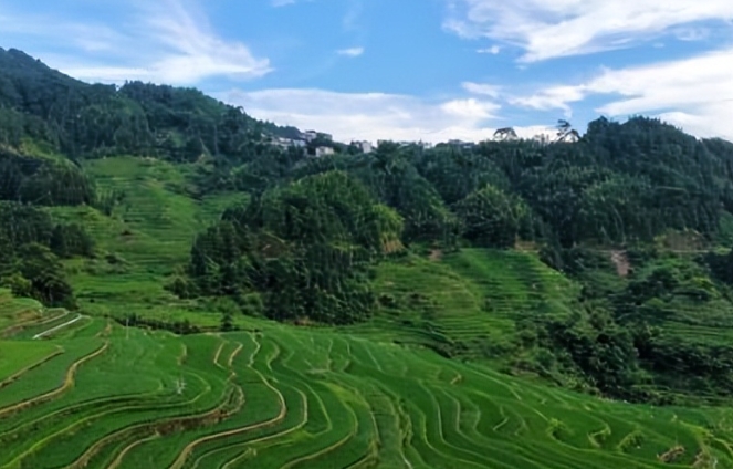 小桑苗寨夏景如畫。 小桑苗寨夏景如畫。