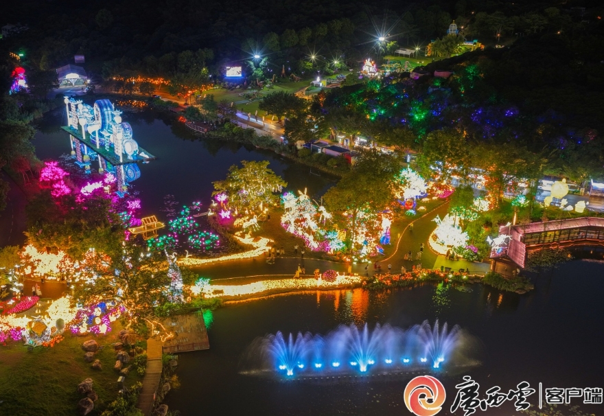 南寧夜花園。