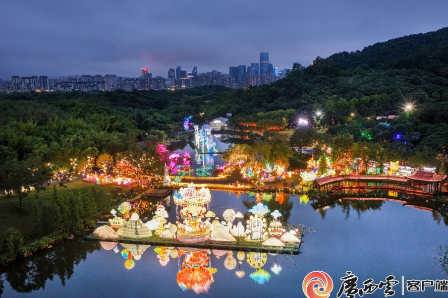 南寧夜花園。