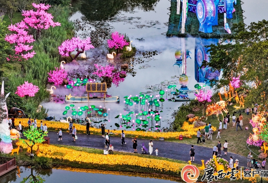 南寧夜花園。