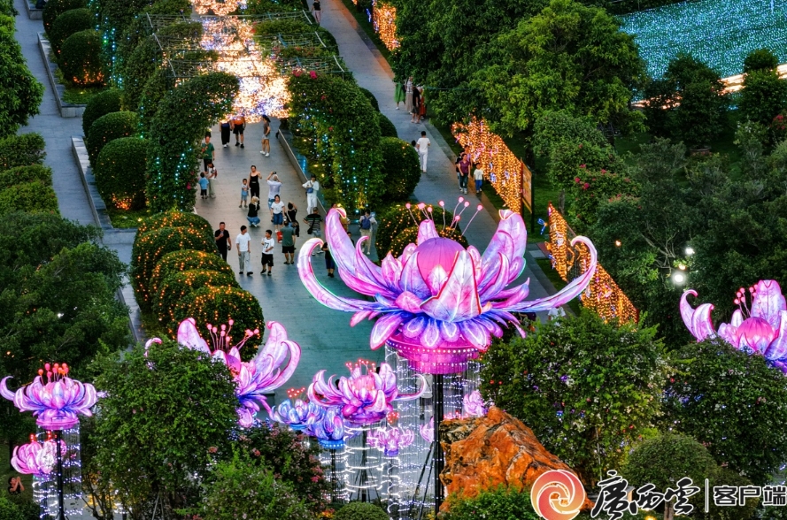 南寧夜花園。