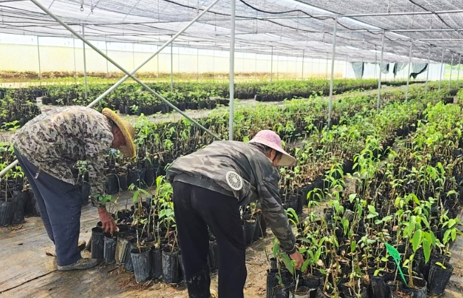 台企有秩序地進行災後復產。
