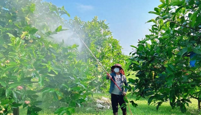 台企有秩序地進行災後復產。
