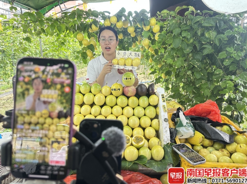 販售各類黃金百香果。