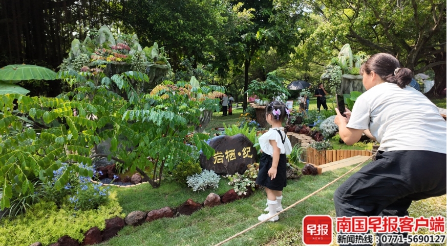 市民在花境作品中拍照打卡。 市民在花境作品中拍照打卡。