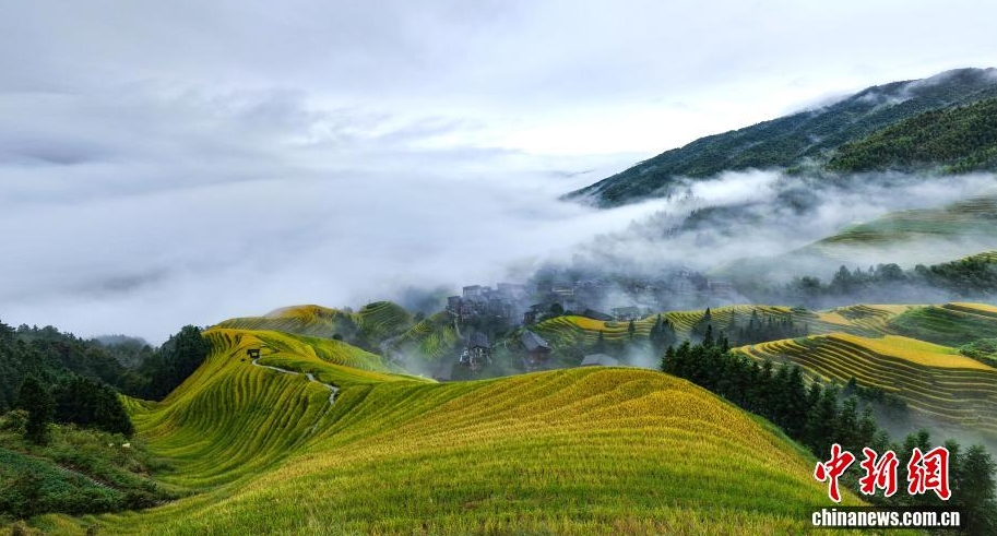龍脊梯田雲海景觀。