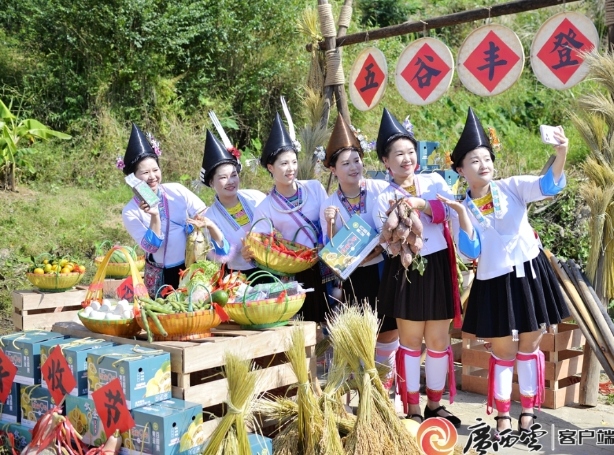 「紫黑香糯」豐收節活動。